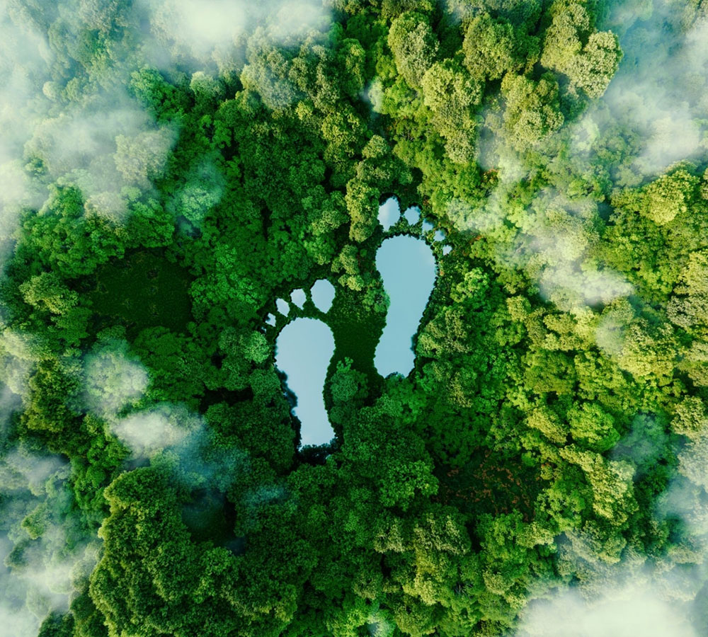 Sustainability